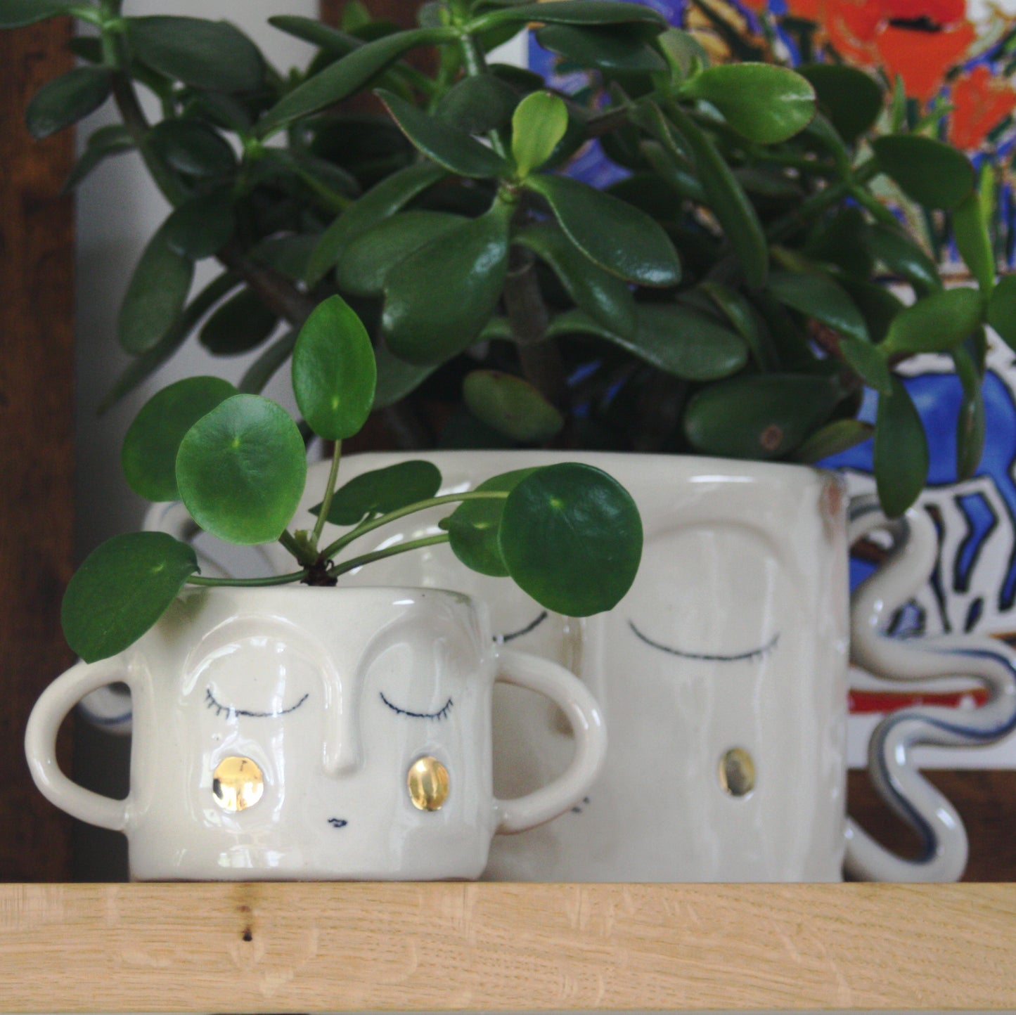 Large Face Planter
