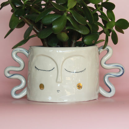 Large Face Planter