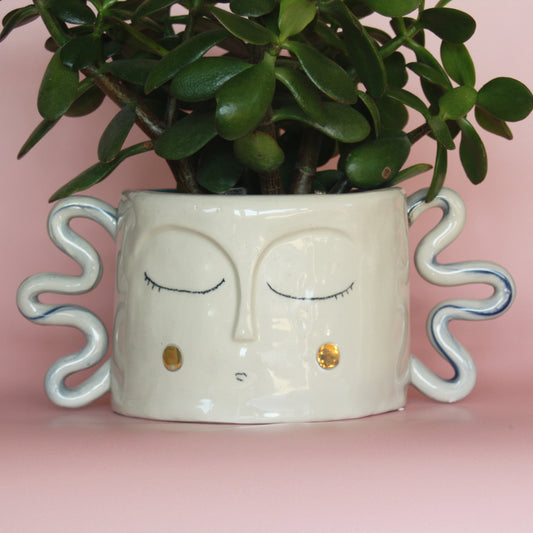 Large Face Planter