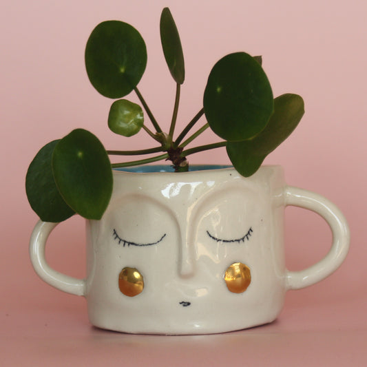 Small Face Planter